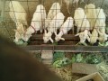 IMG_20250531_085038