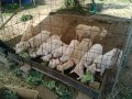 IMG_20250531_085046