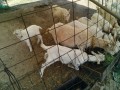IMG_20250531_085108