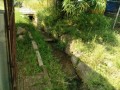 IMG_20250531_085121