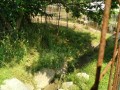 IMG_20250531_085137