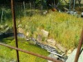 IMG_20250531_085141