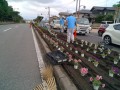 12dai-hana06-20250615_082432