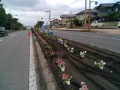 12dai-hana06-20250615_082523