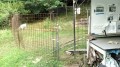 1750417144254