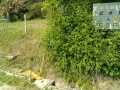 IMG_20250601_090636