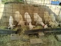 IMG_20250601_100430
