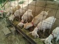 IMG_20250601_100440