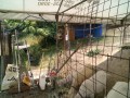 IMG_20250601_100448