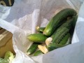IMG_20250601_121626