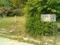 IMG_20250602_081352