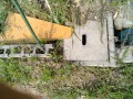 IMG_20250602_081401