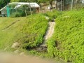 IMG_20250602_081440