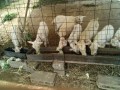 IMG_20250602_081828