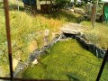 IMG_20250602_081924