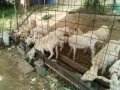 IMG_20250602_084106