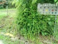 IMG_20250603_085446