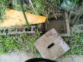IMG_20250603_085528