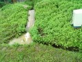 IMG_20250603_085737