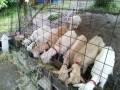 IMG_20250603_090216