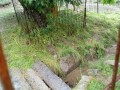 IMG_20250603_090313