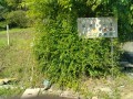 IMG_20250604_084503