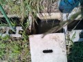 IMG_20250604_084508