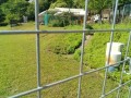 IMG_20250604_084651