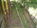 IMG_20250604_085617