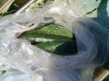 IMG_20250604_120415