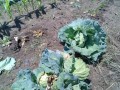 IMG_20250604_120419