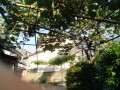 IMG_20250604_174403