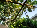 IMG_20250604_174409