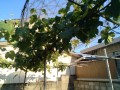IMG_20250604_174420