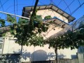IMG_20250604_174430