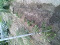 IMG_20250604_190903