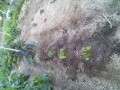 IMG_20250604_190911