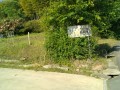 IMG_20250605_075940