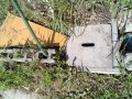 IMG_20250605_075946