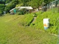 IMG_20250605_080010