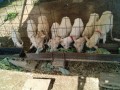 IMG_20250605_080258