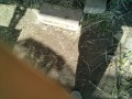 IMG_20250605_080300