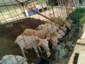 IMG_20250605_080312