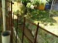 IMG_20250605_080335