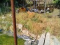 IMG_20250605_080352