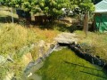IMG_20250605_080405