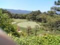 IMG_20250605_130427