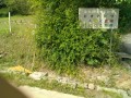 IMG_20250606_085359