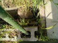 IMG_20250606_085409