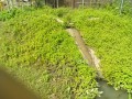 IMG_20250606_085546